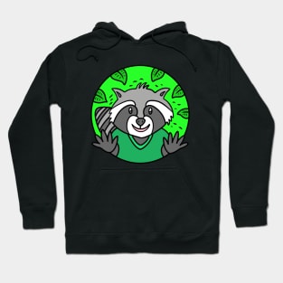 Funny cartoon raccoon Hoodie